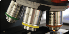 Microscope